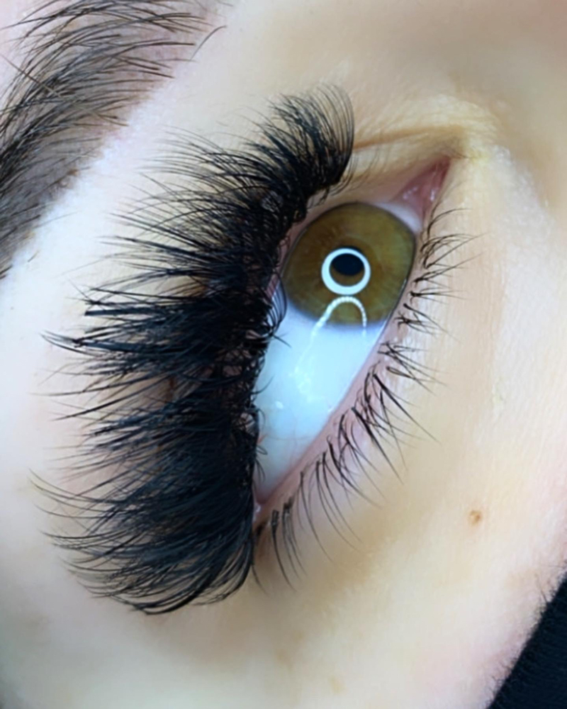 Bottom Lashes