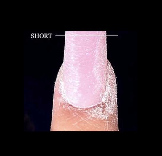 Short With Design-size(1-2)