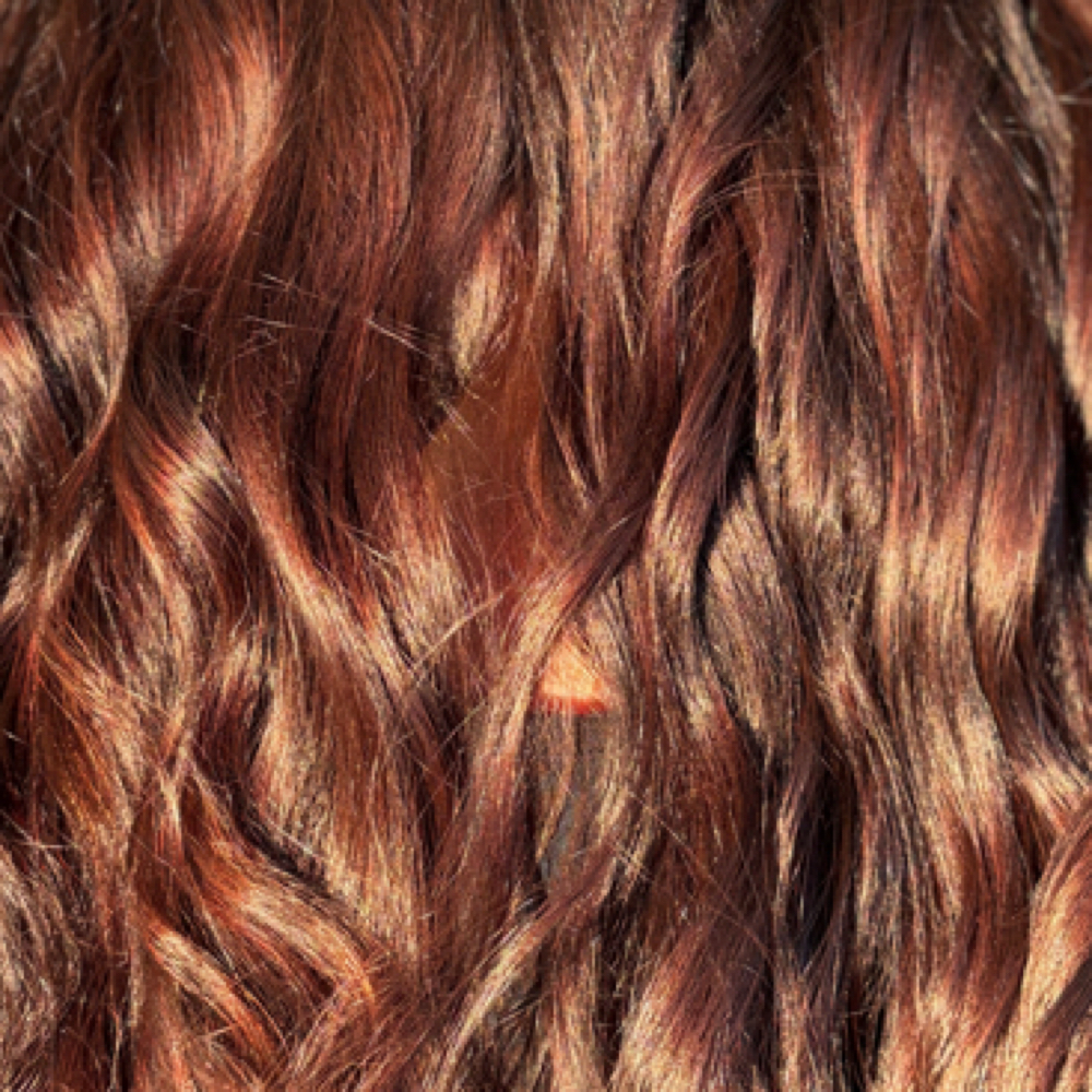 Root Touch Up at Ella Quincy in Plainfield, IN