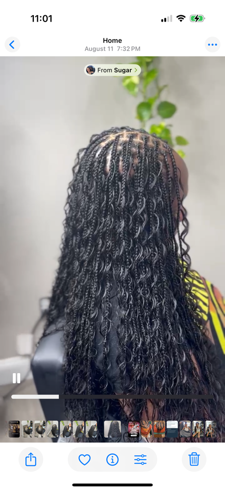 X-Small Boho at Styled by Tasha Nicole in New Jersey, NJ