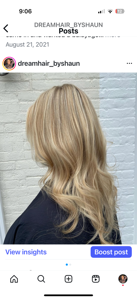 Full Head Highlight