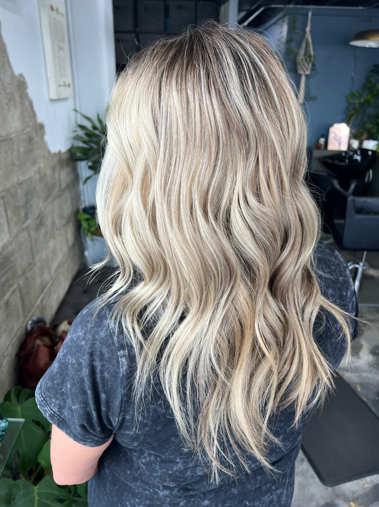 Toner Refresh at Monarch & Bird Hair Co. in Spokane Valley, WA
