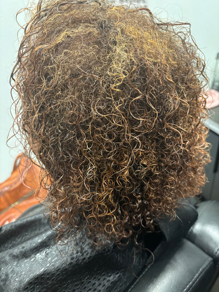 Shampoo, Con, Go Look!