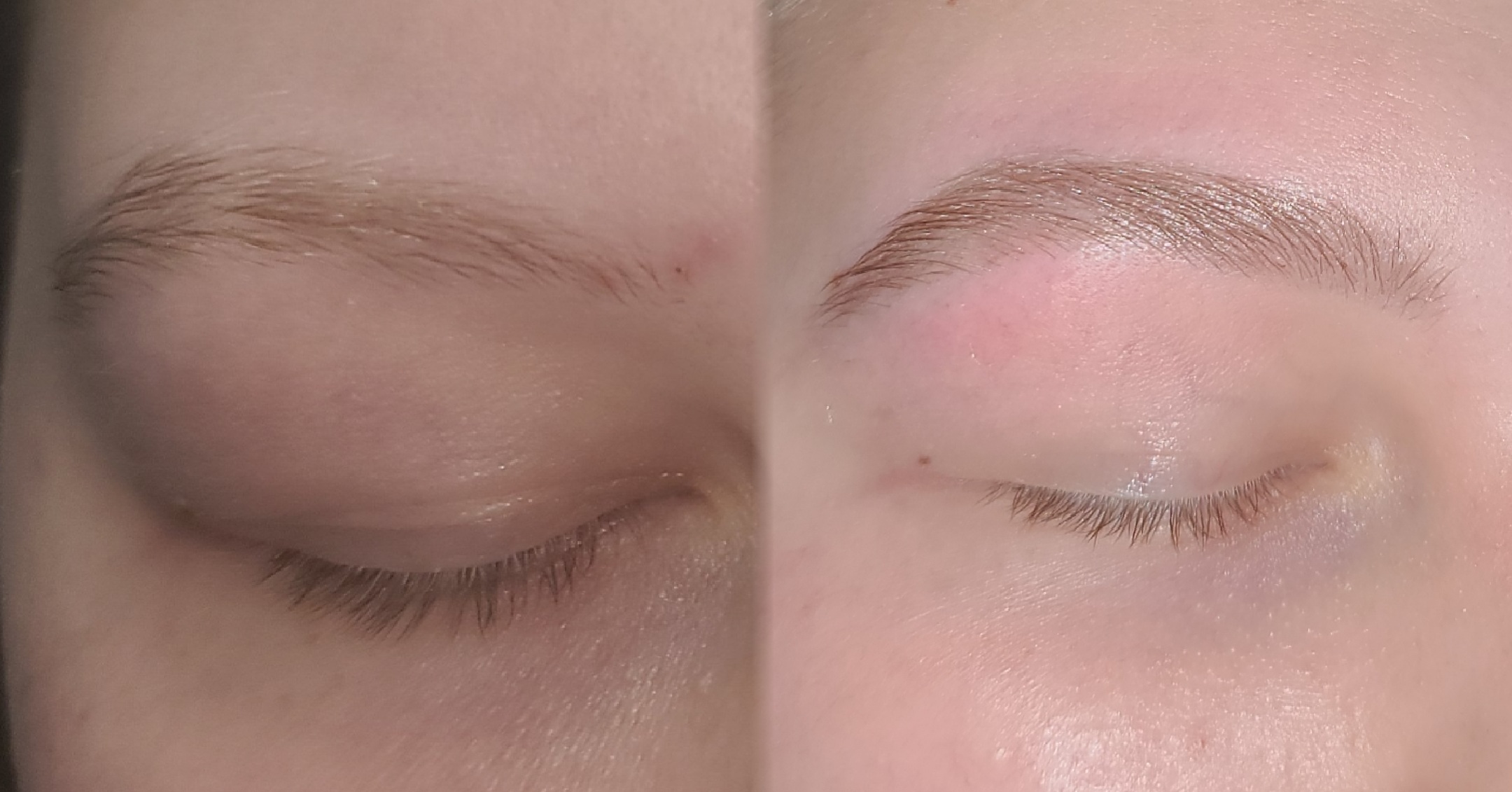 Brow Tint With Wax