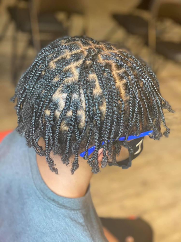 Box Braids No Hair Added