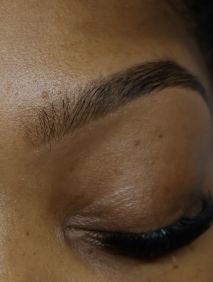 Boujee Hybrid Brows