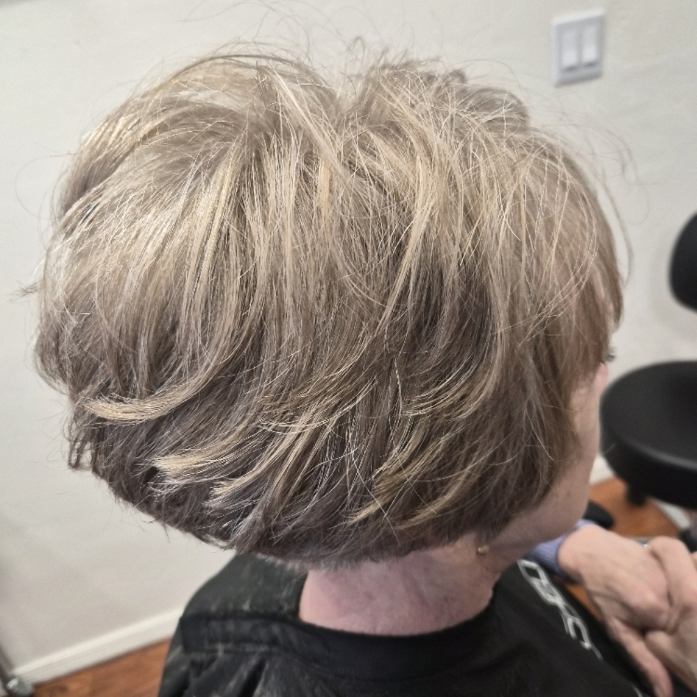 RETOUCH COLOR at nicole Martinez in Pinetop-Lakeside, AZ