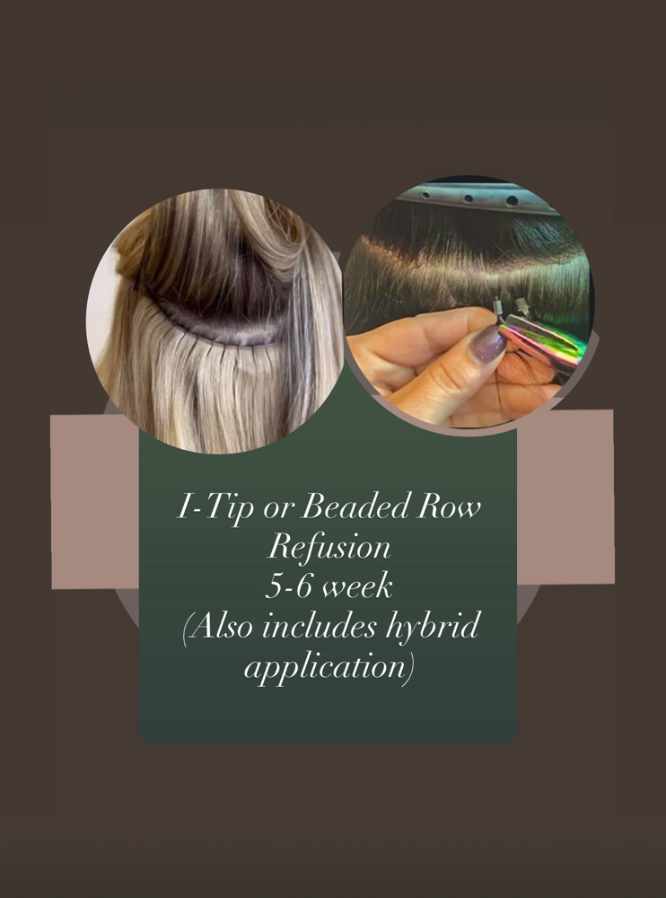 Extension Refusion w/ Shampoo