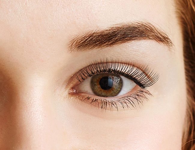 + Brow And Lash Tint