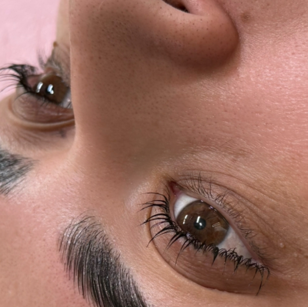 Lash Lift at Glo Beauty Studio LLC in Los ANGELES, CA