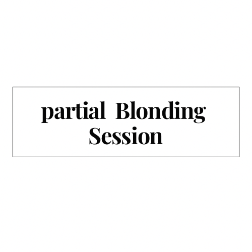 Blonding Partial Revive Session