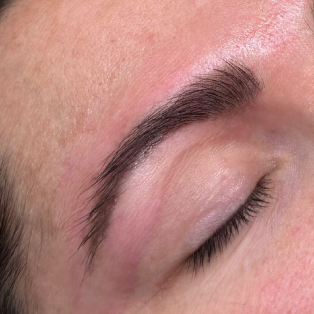 Eyebrow Tint ONLY at Salon Muse & Co in Wautoma, WI