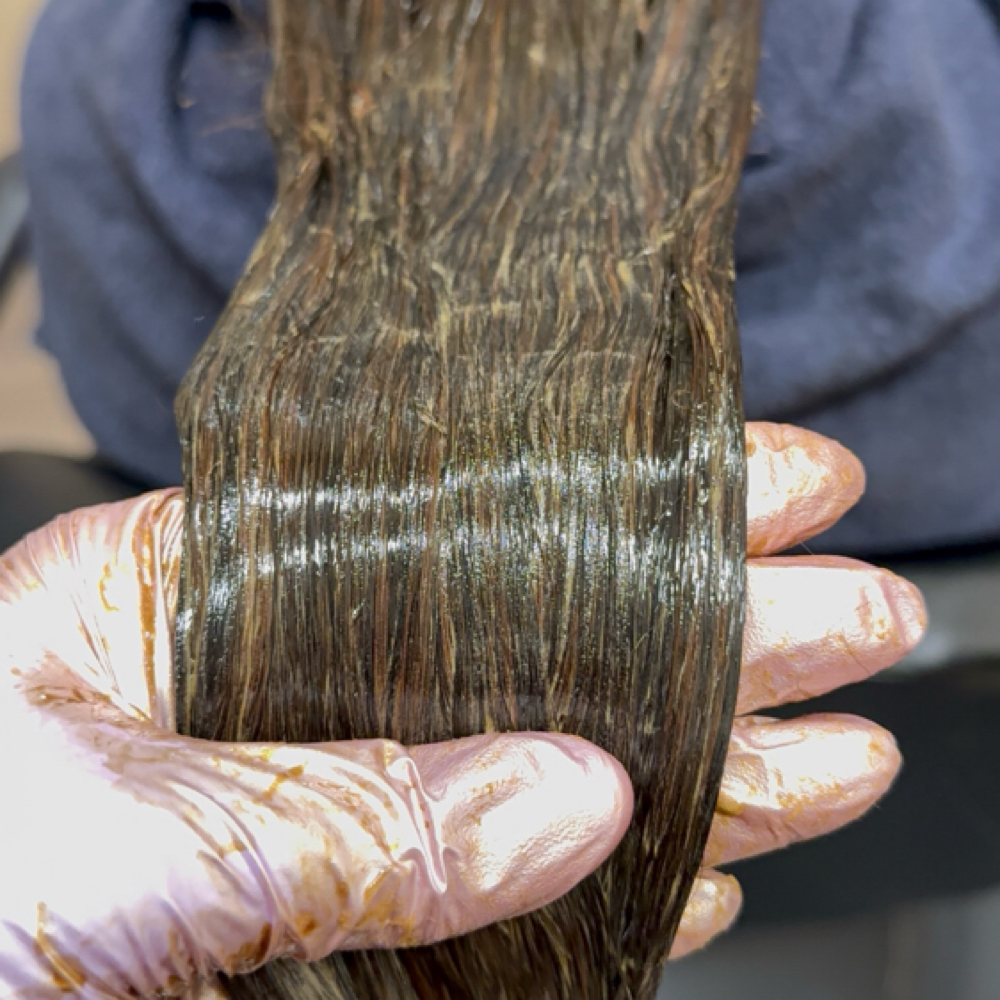 Hair Color Correction at Shammi’s Hair Studio in Troy, MI