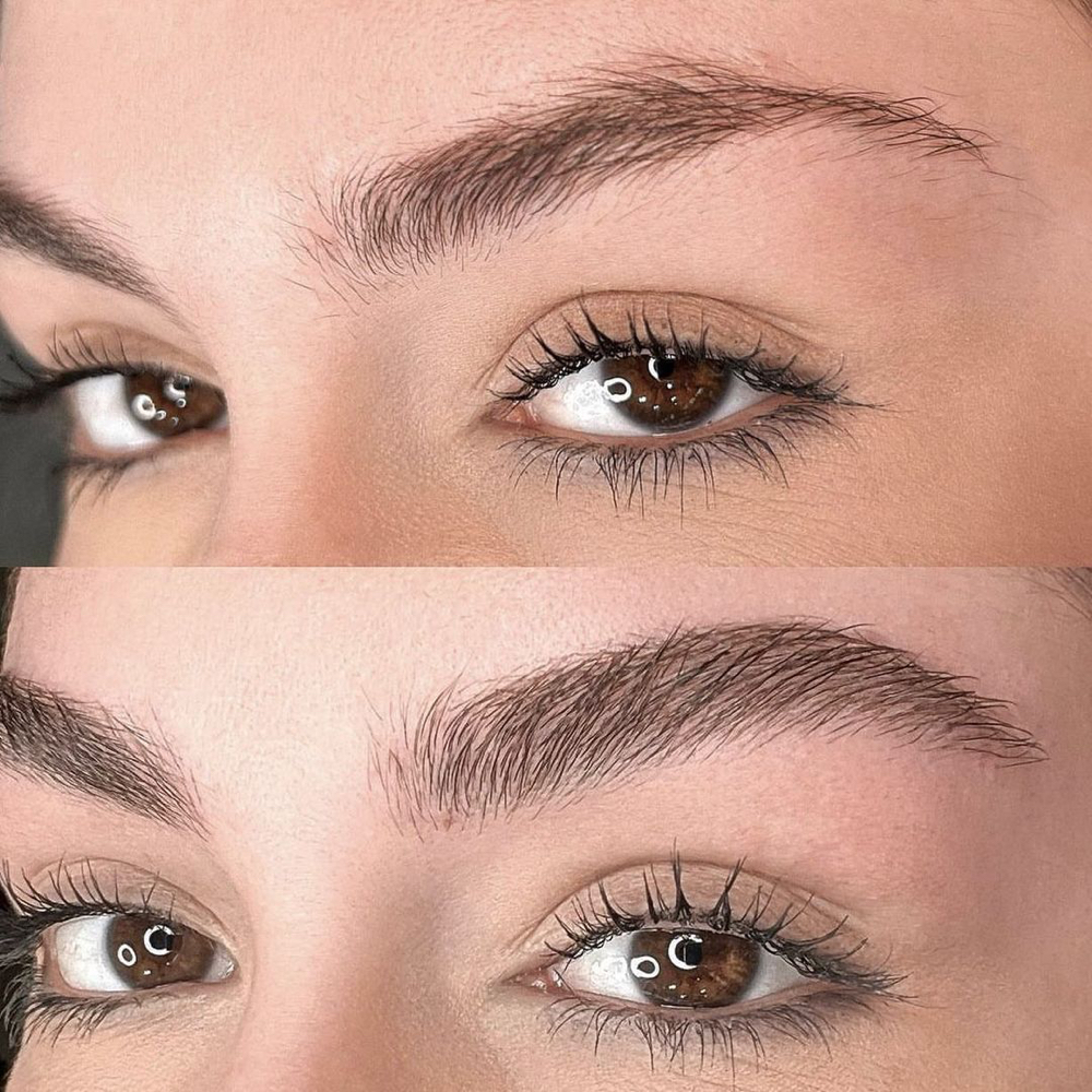 Brow & Lash Package