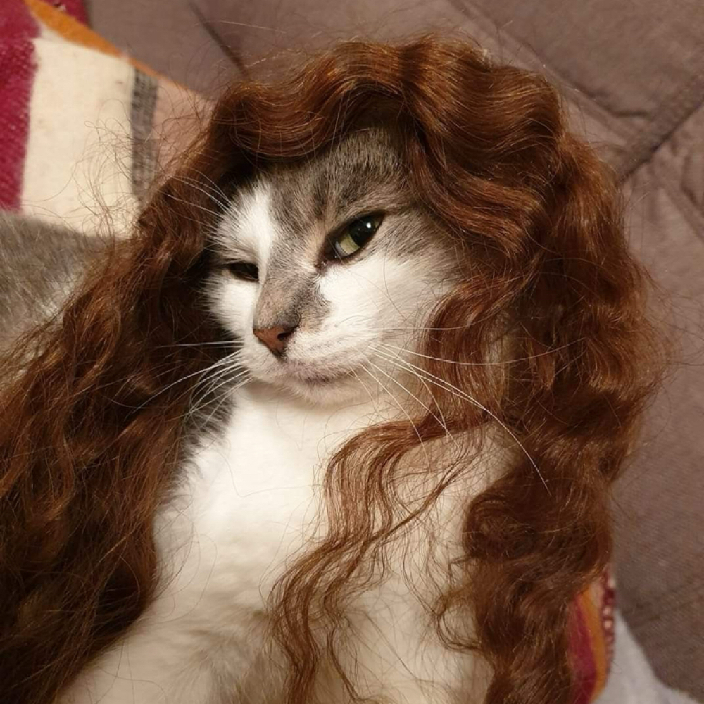 GLOSS REFRESH at theonlygracetoeverexist in Dallas, TX