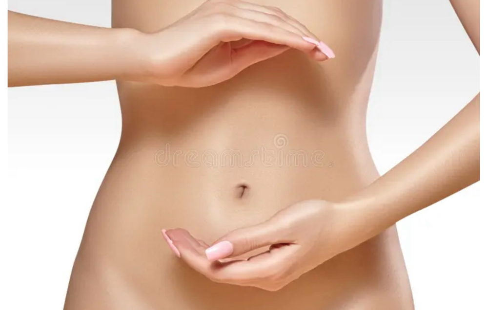 Stomach