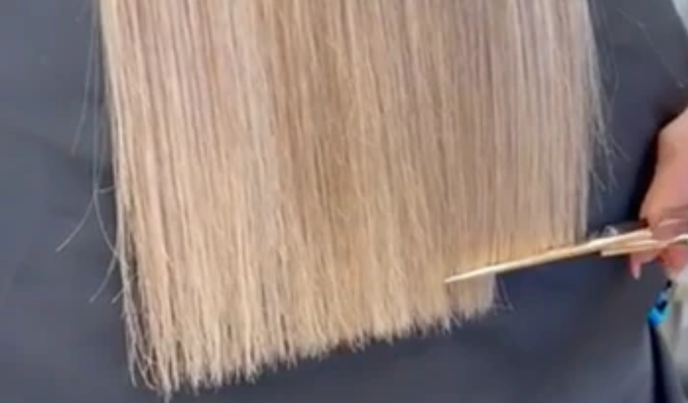 Express Cut