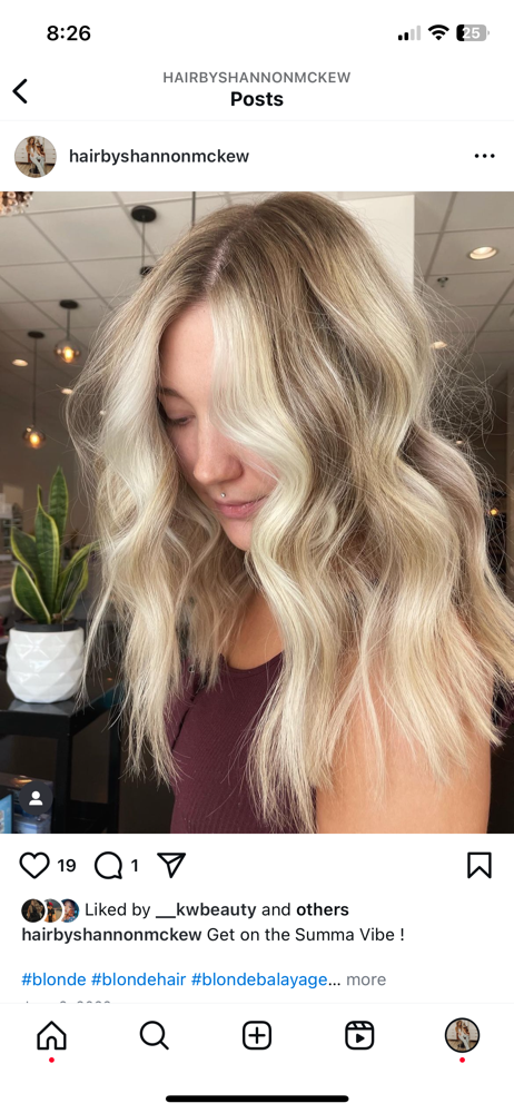 Partial Balayage W/ Cut