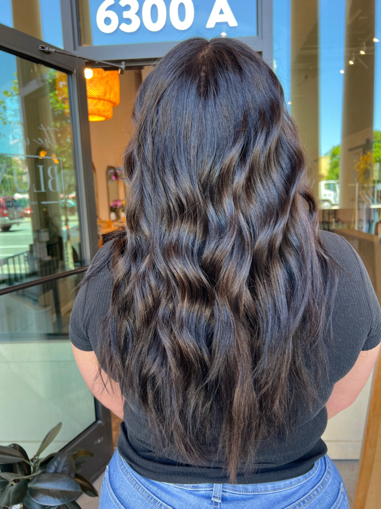 Root Touch Up