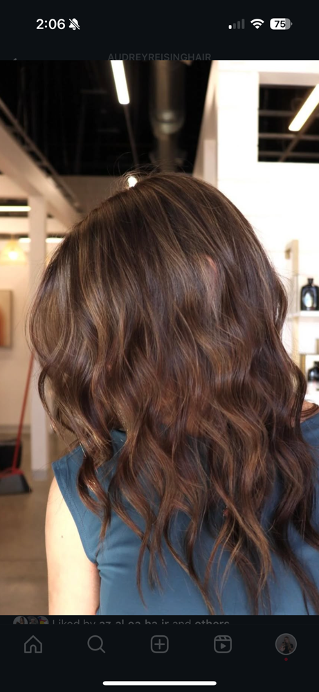 Root Retouch (Not Highlights)