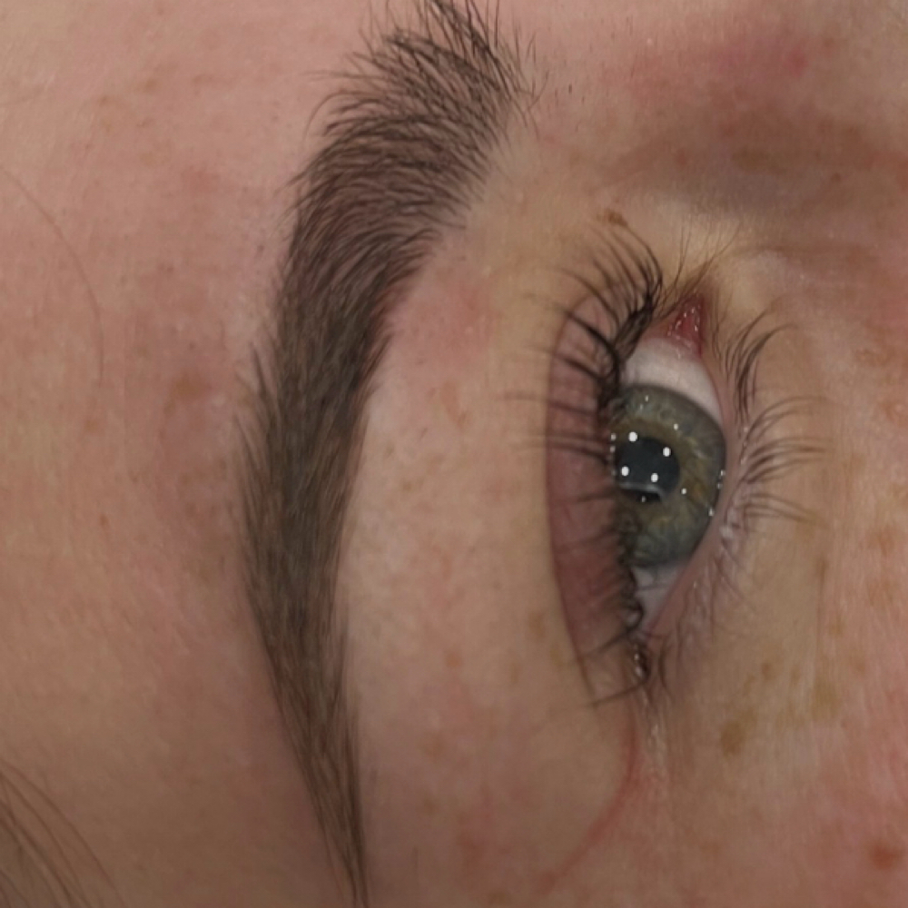 Brow Lamination (NO TINT) at Luna & Sol Wax studio in Hastings, MN