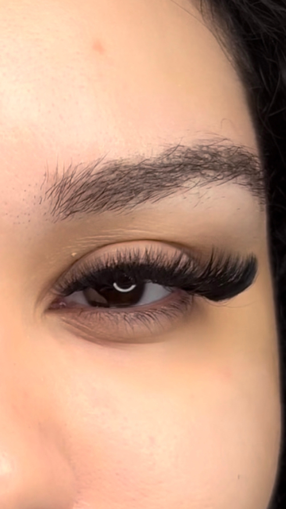 Hybrid Cat Eye