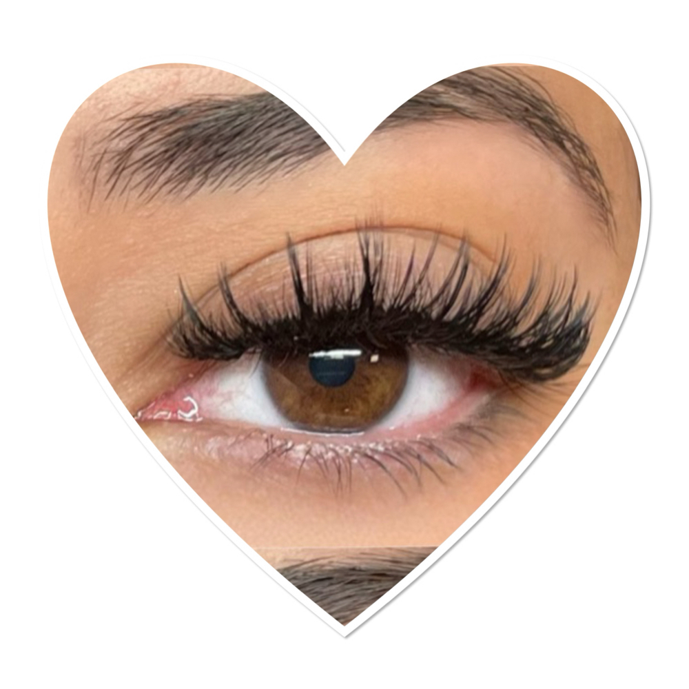 Extended Fill at Twisted Lash in Reno, NV