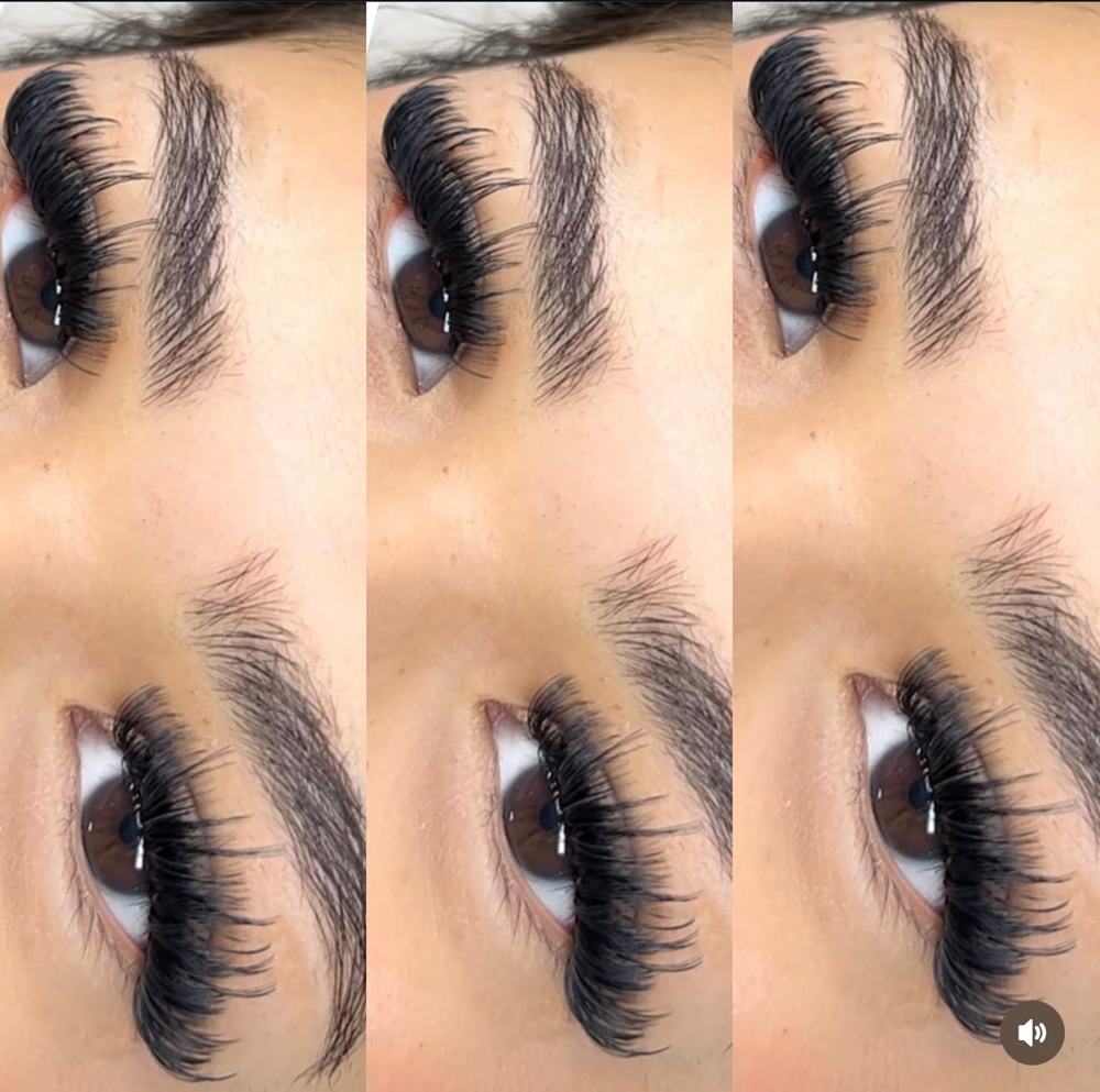 Wispy Fill at Lashesbyloree in Woodstock, IL