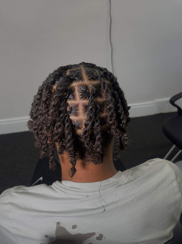 Loc Retwist