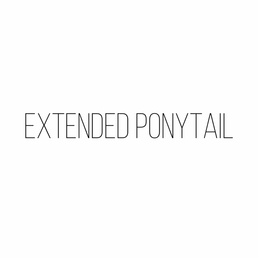 Extended Ponytail