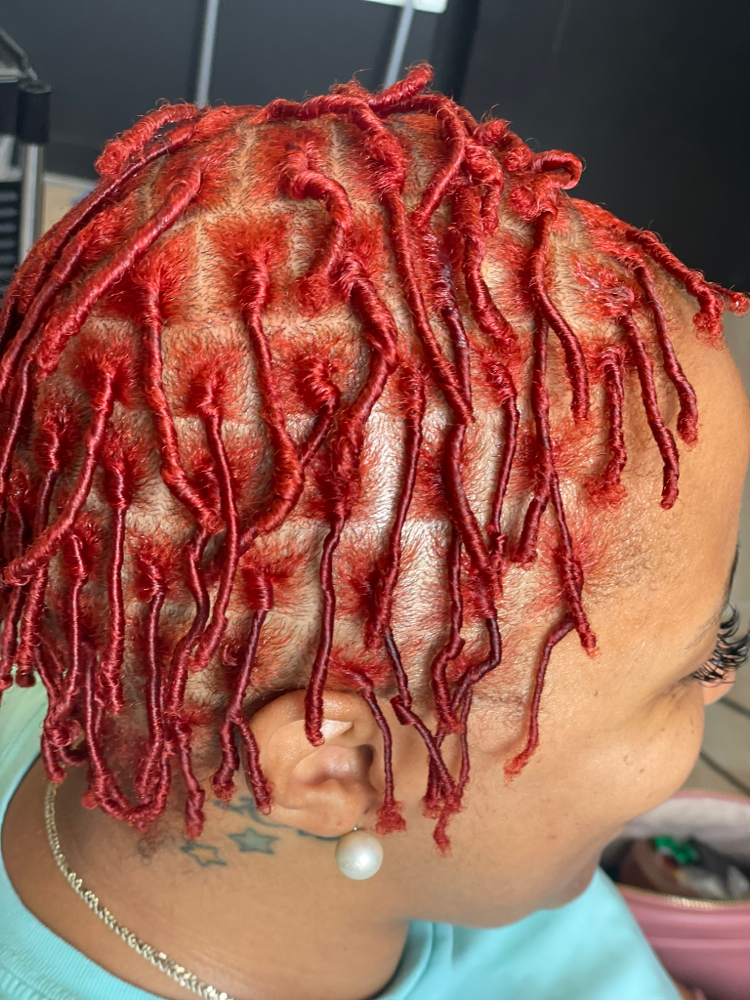 Adult Starter Locs