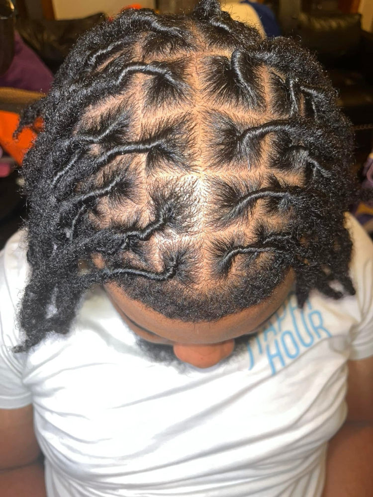 Wash and Retwist