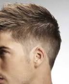 Clipper Cut