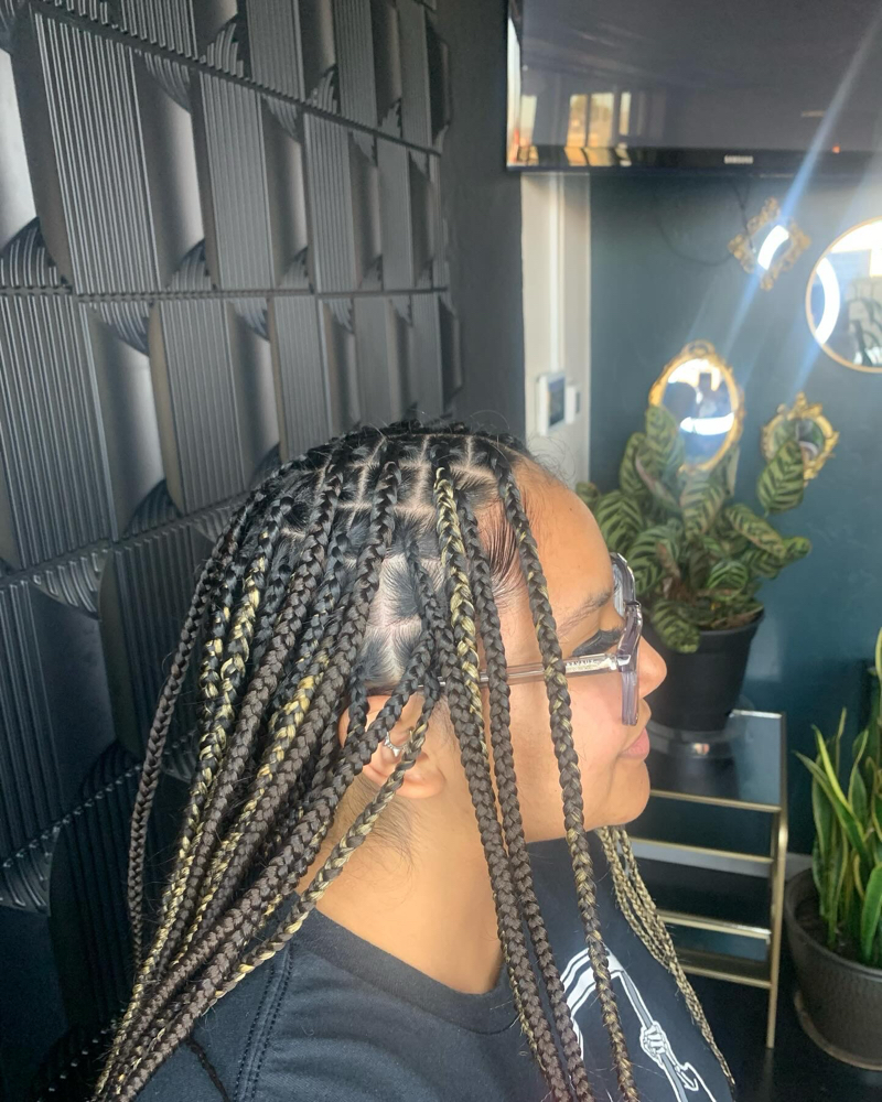 Knotless Braids(M)