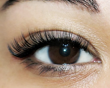 Siberian Lash Ext fill