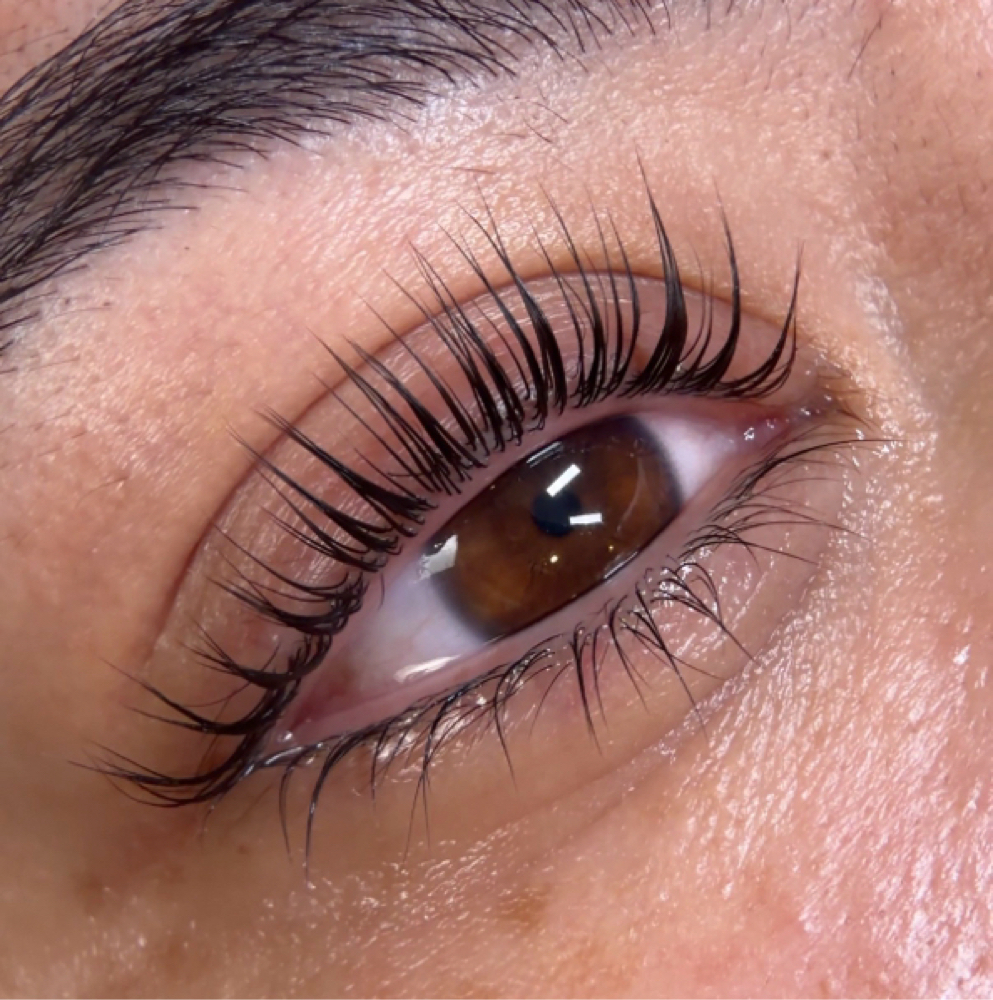 Korean Lash Lift at TLE Academy & Studio in Schiller Park, IL