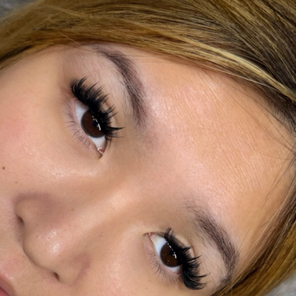 Anime Lash Fill at Divine Lash Bar in Las Vegas, NV