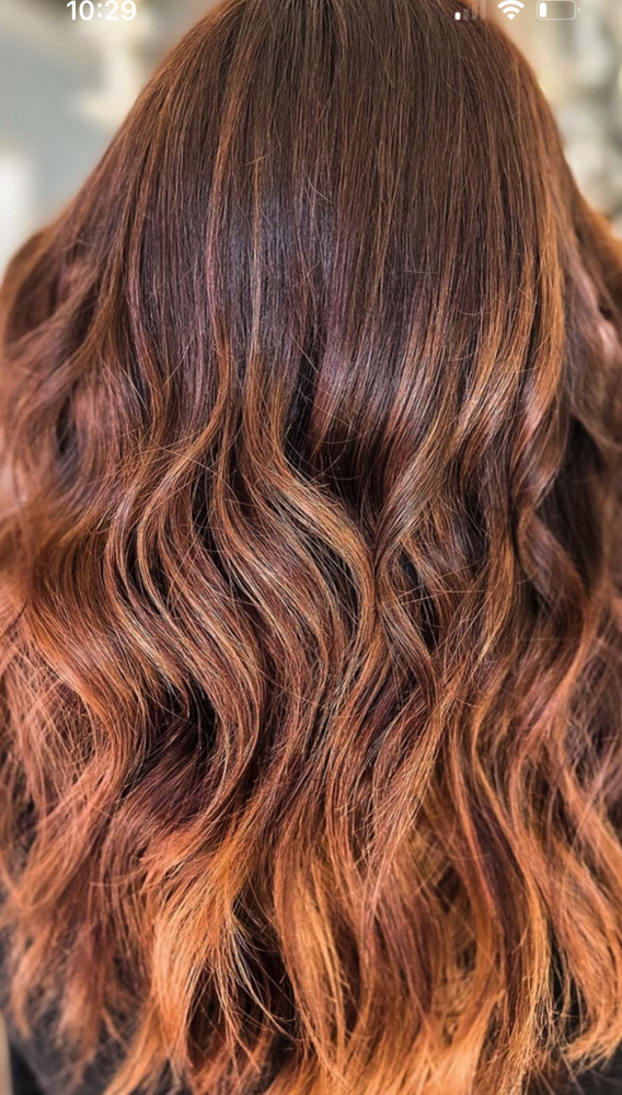 Root Touch Up