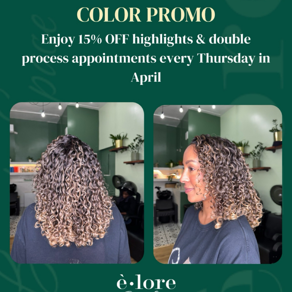 Full Head Highlight at Elore Beauty Space / Natural Hair Salon in New York, NY