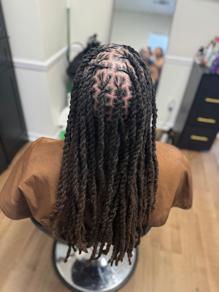 Loc 2 Or  3 Strand Twist