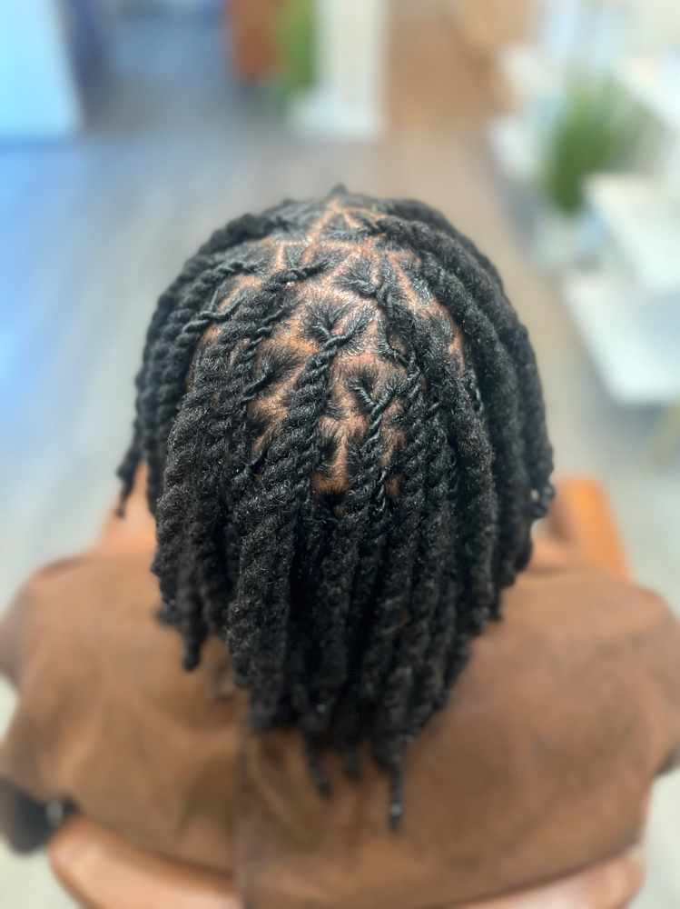 Loc 2 Or  3 Strand Twist