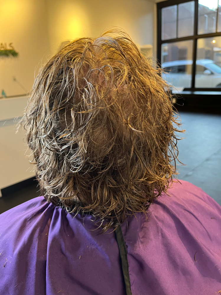 Basic Haircut