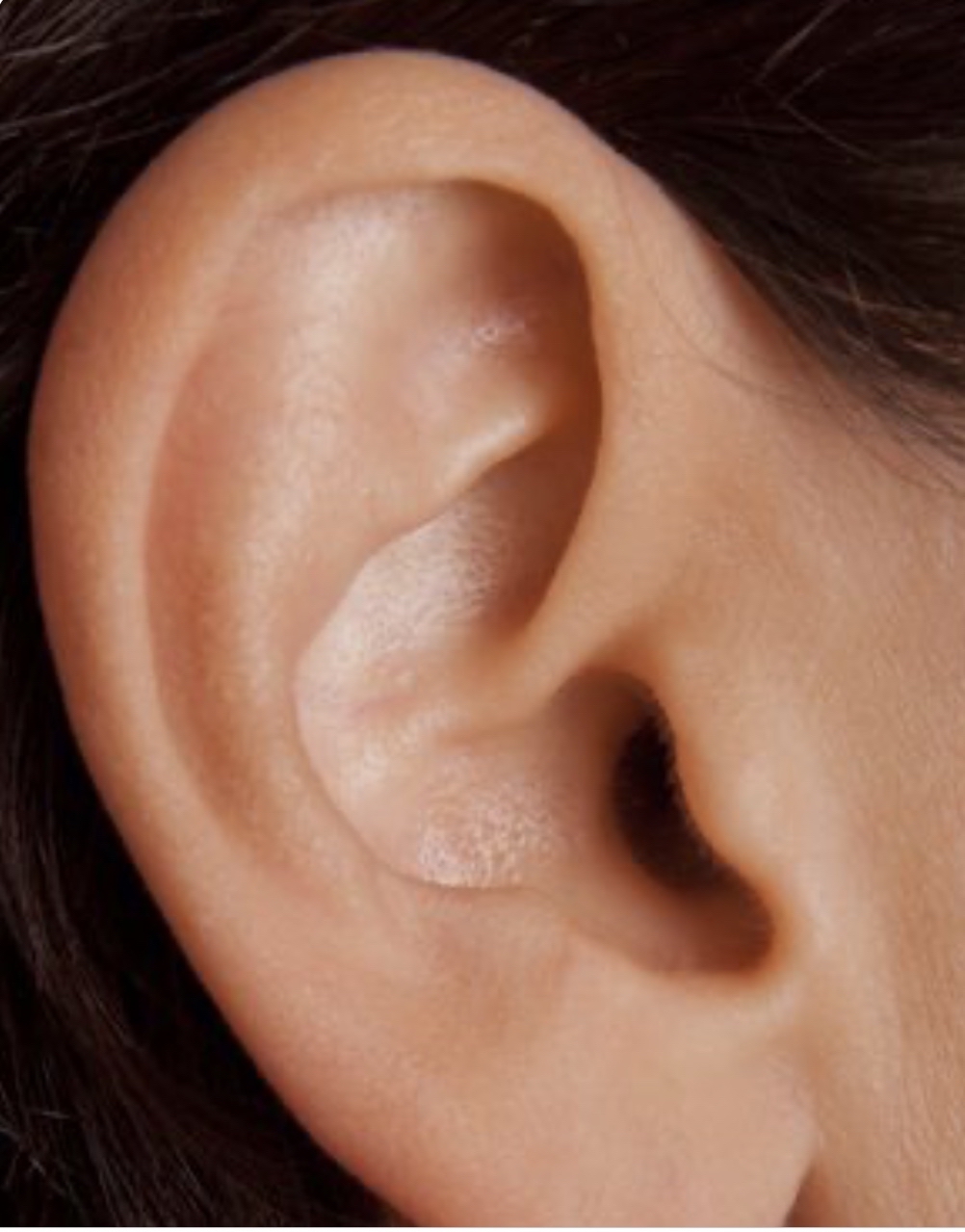 Ears at BrandyLynn Cosmetic Makeup & Beauty
