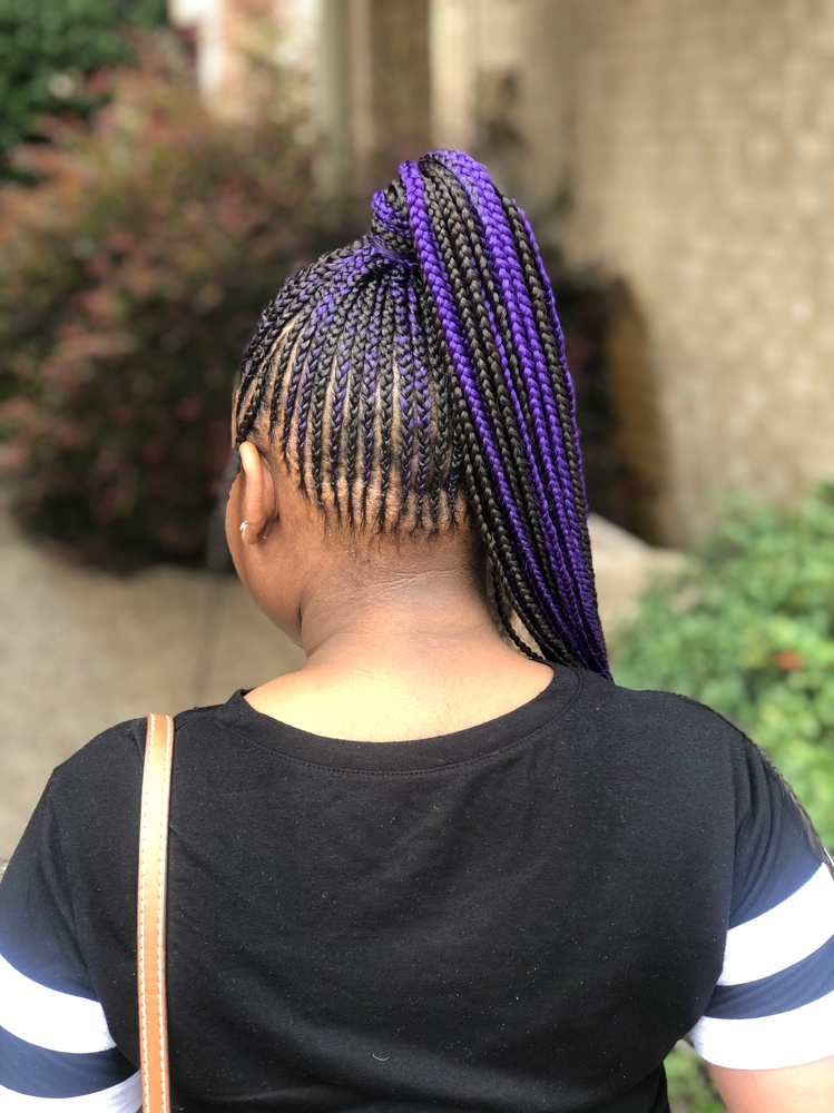 Braided Ponytail