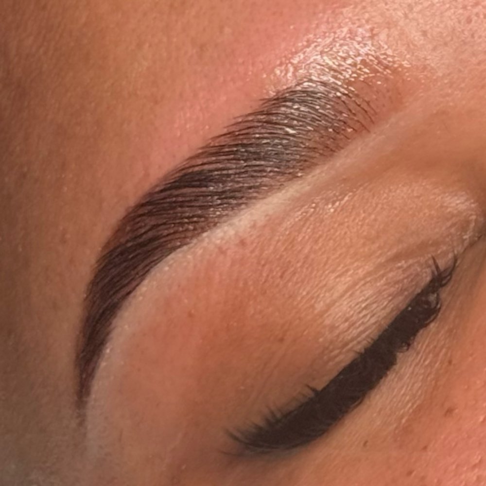 Brow Lamination Maintence at Nikki Lee Esthetics in Pearland, TX