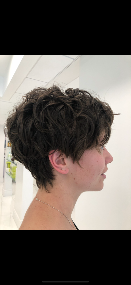 Short Dry Haircut (Pixie)