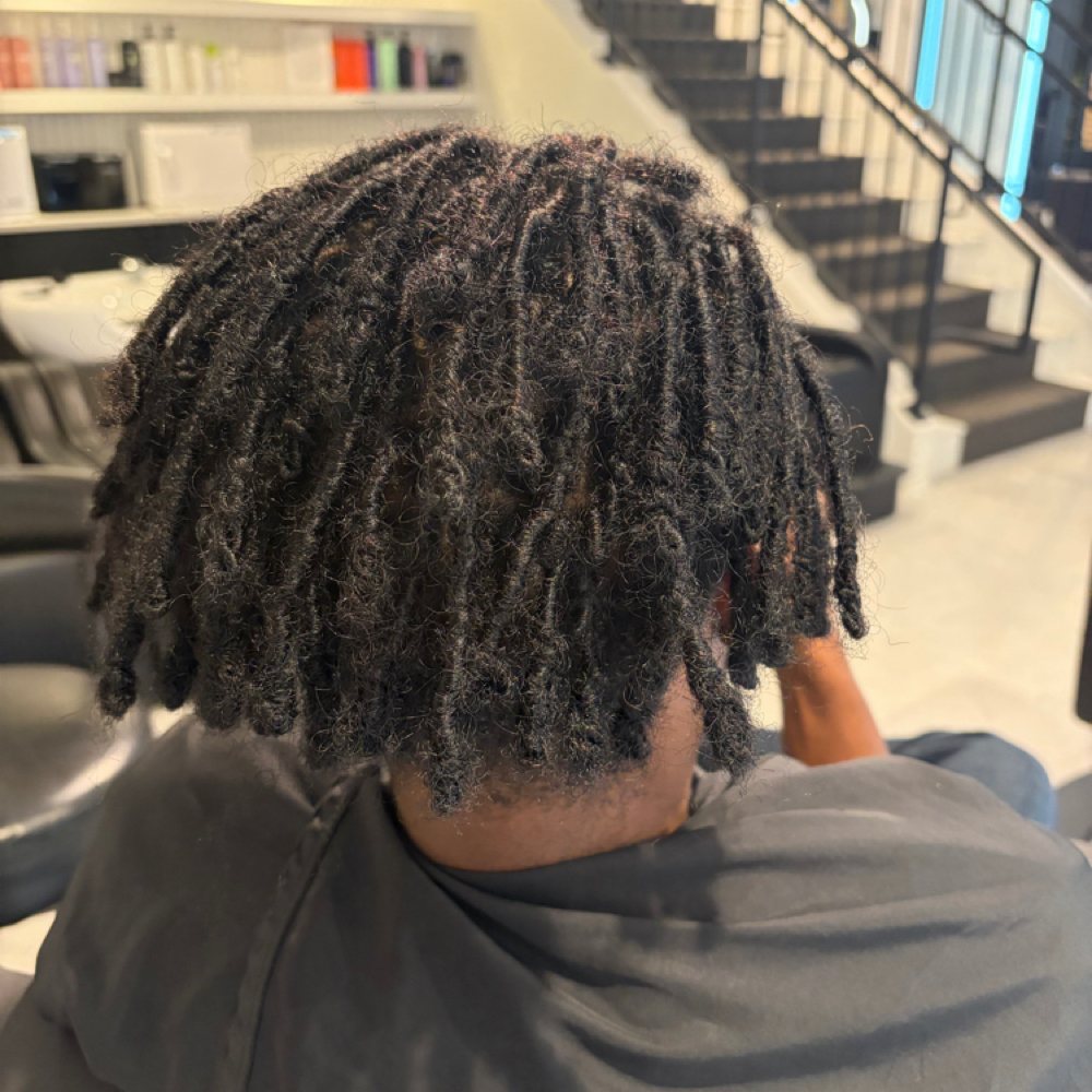 Insta Locs at Vanta Salon & Spa in Minneapolis, MN
