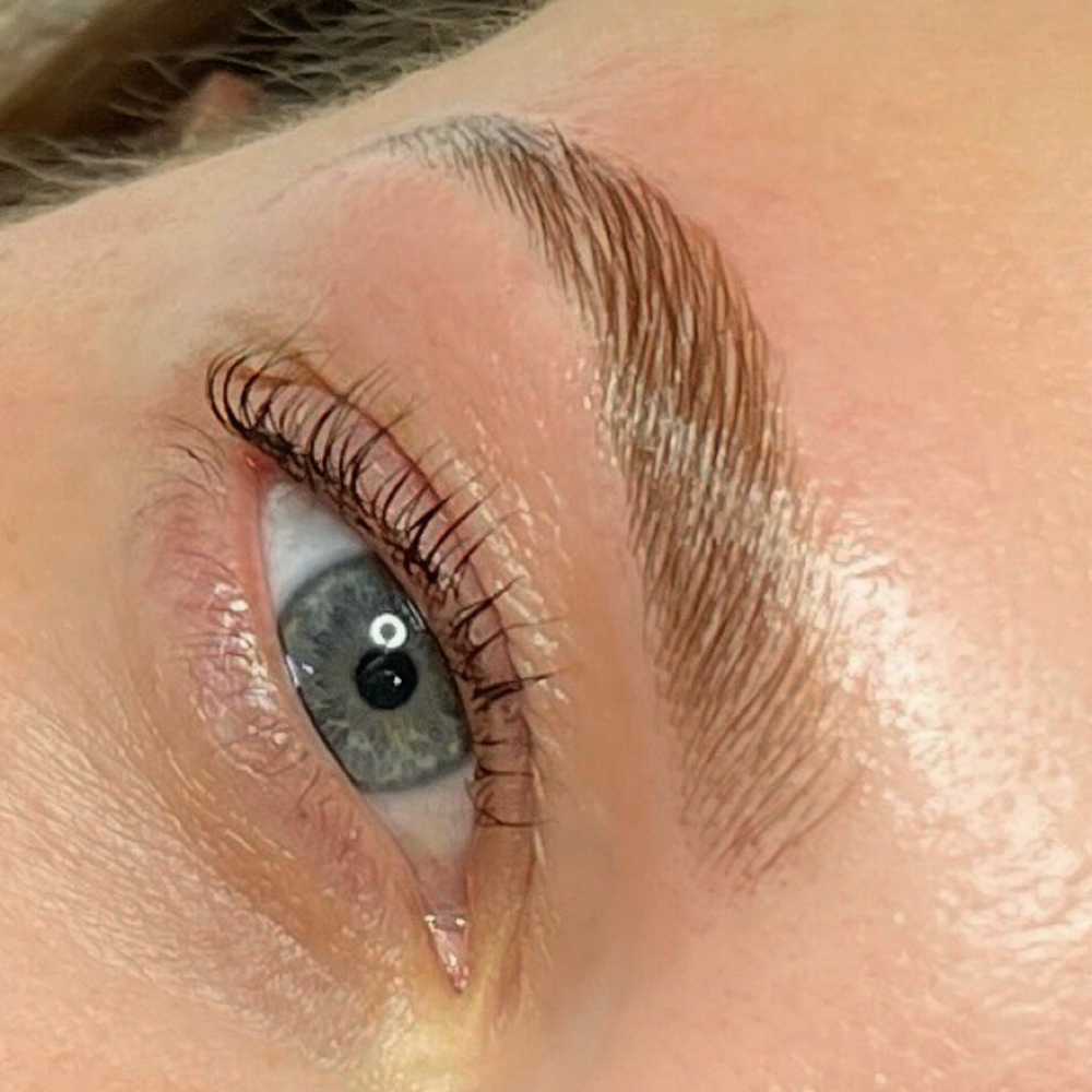Brow Lamination, Wax, & Tint at Elysian  Escape in Selbyville, DE