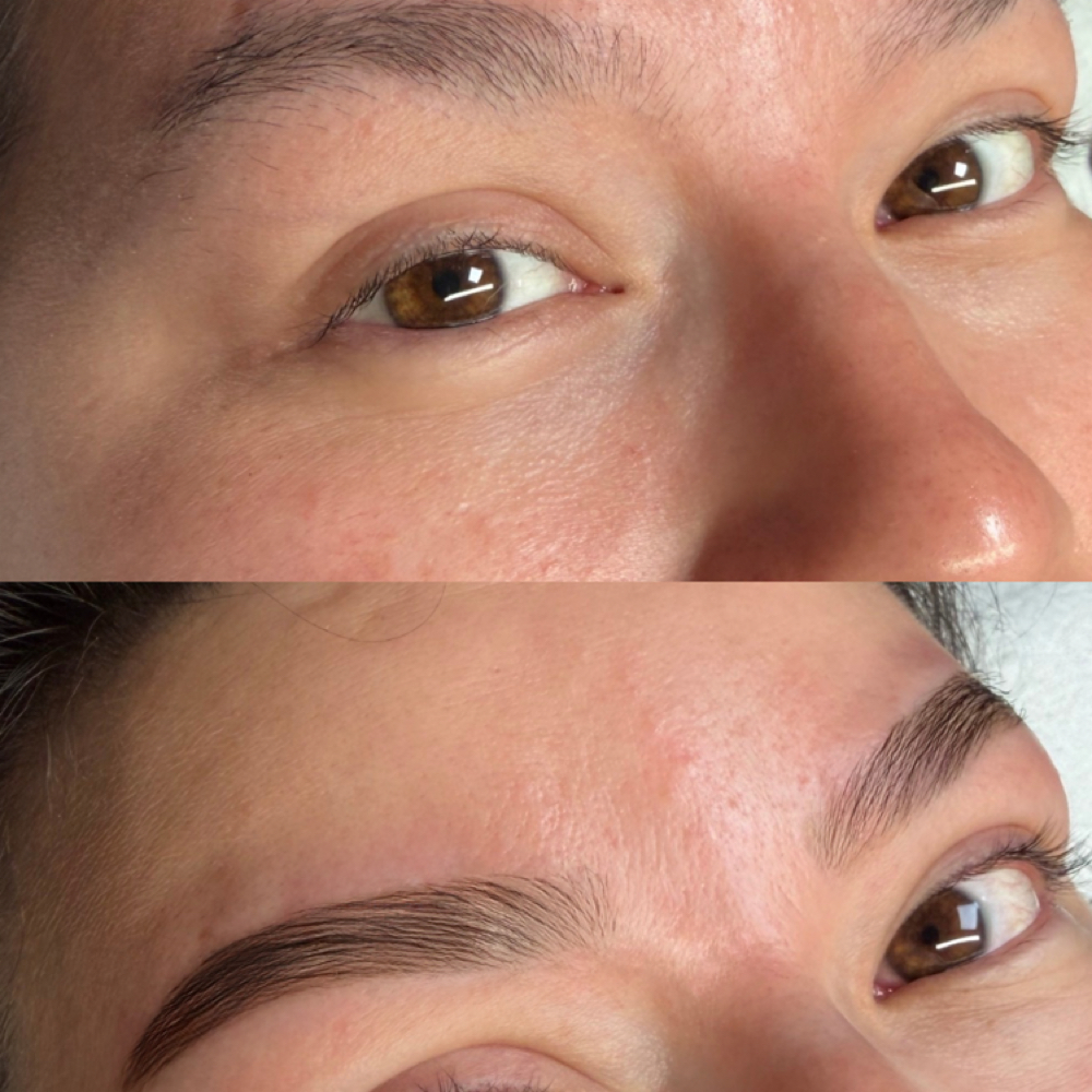 The Brow Edit at Skin Therapy in Golden valley, MN