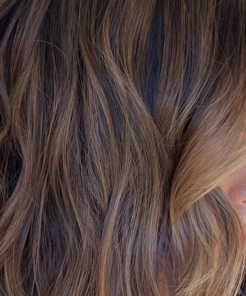 Root Touch Up at Haus of Bleach in Wake Forest, NC